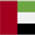Arabic Flag - Language Option